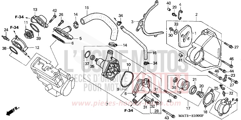 WASSERPUMPE (V) von Super Blackbird CANDY MUTHOS MAGENTA (R228) von 1997